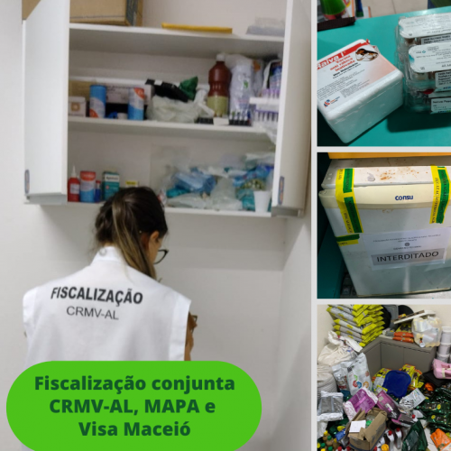 Fiscalização