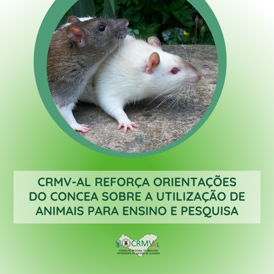 Post sobre animais em psquisas