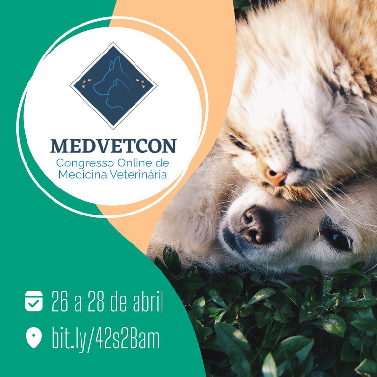 Medvetcom