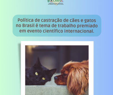 Política de castração de cães e gatos no Brasil é tema de trabalho premiado em evento científico internacional.