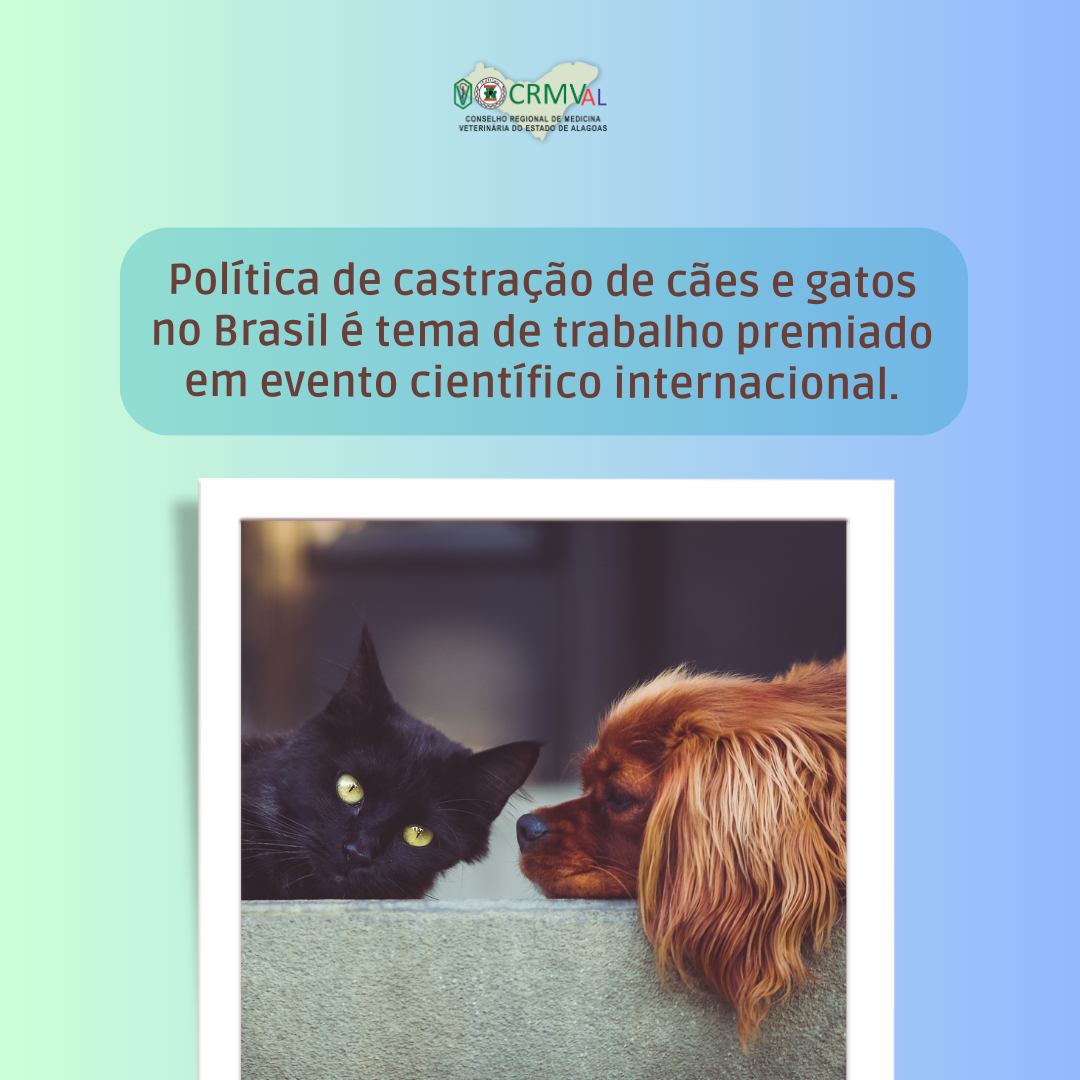 Política de castração de cães e gatos no Brasil é tema de trabalho premiado em evento científico internacional.