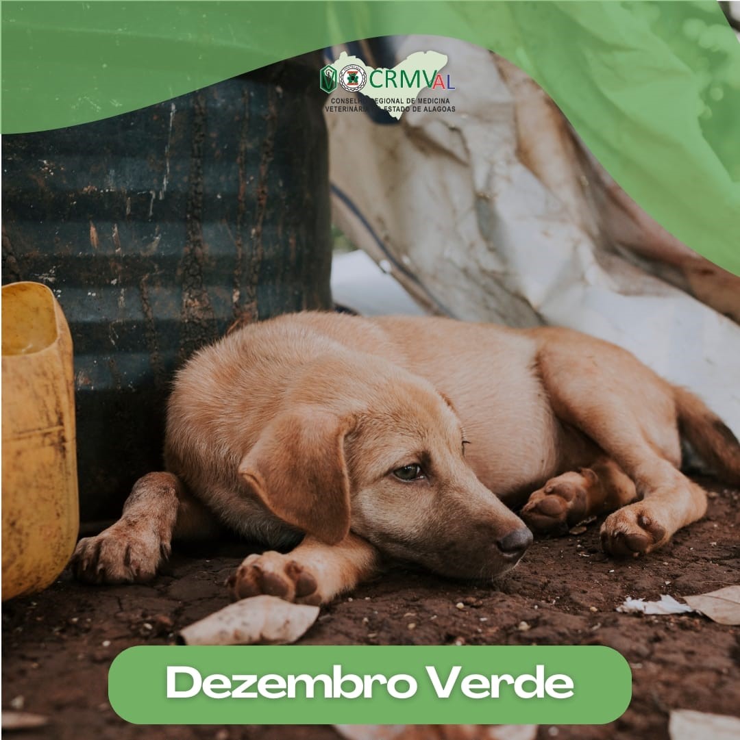 Dezembro Verde