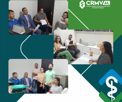 Plenária mensal do CRMV-AL debate questões relevantes e apresenta novos servidores