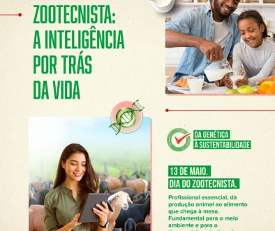 Foto para matéria