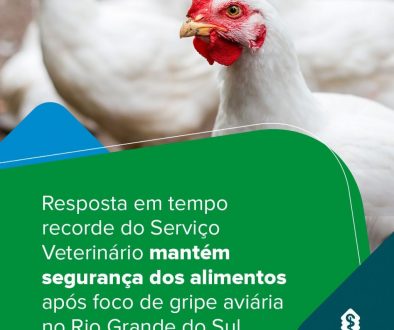 Post Gripe aviária