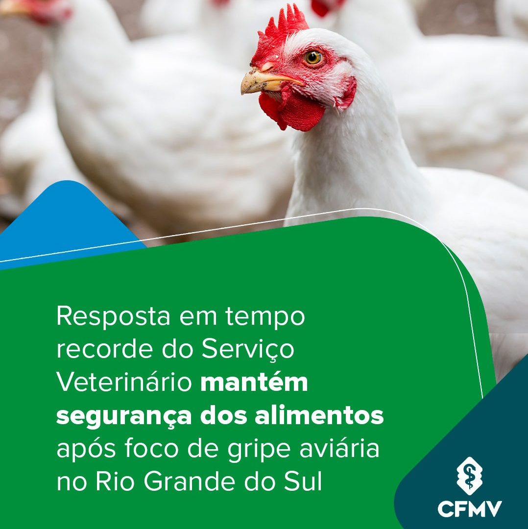 Post Gripe aviária