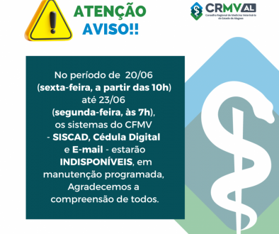 informe (1)