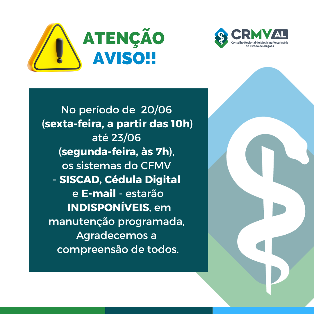 informe (1)