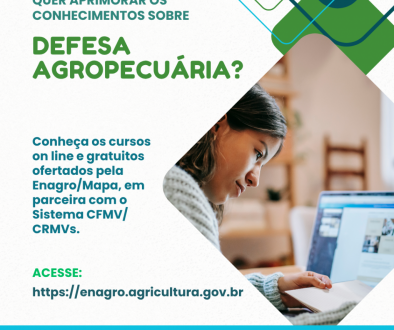 httpsenagro.agricultura.gov.br