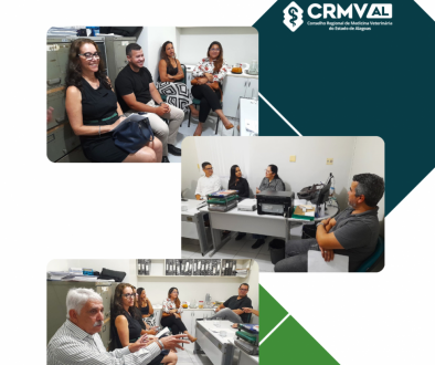 Plenária mensal do CRMV-AL debate questões relevantes e apresenta novos servidores