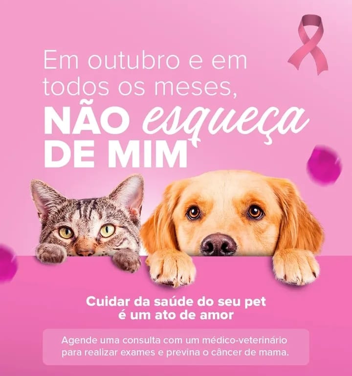 WhatsApp Image 2025-11-02 at 21.07.39