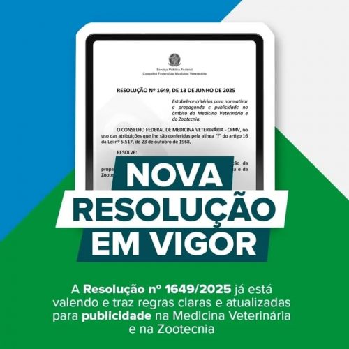 WhatsApp Image 2025-11-02 at 22.53.59