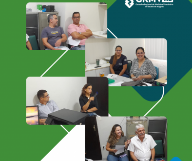 Plenária mensal do CRMV-AL debate questões relevantes e apresenta novos servidores