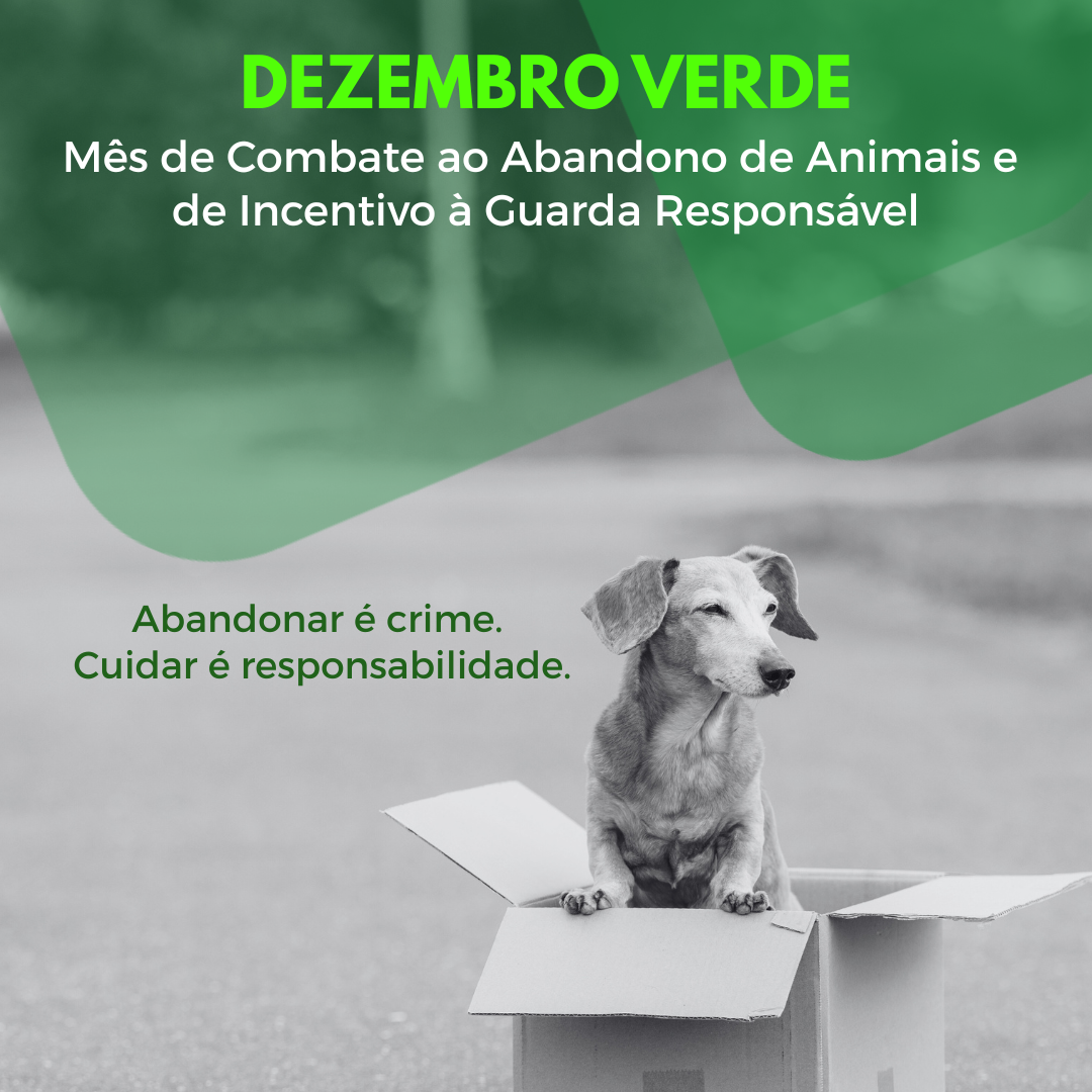 DEZEMBRO VERDE