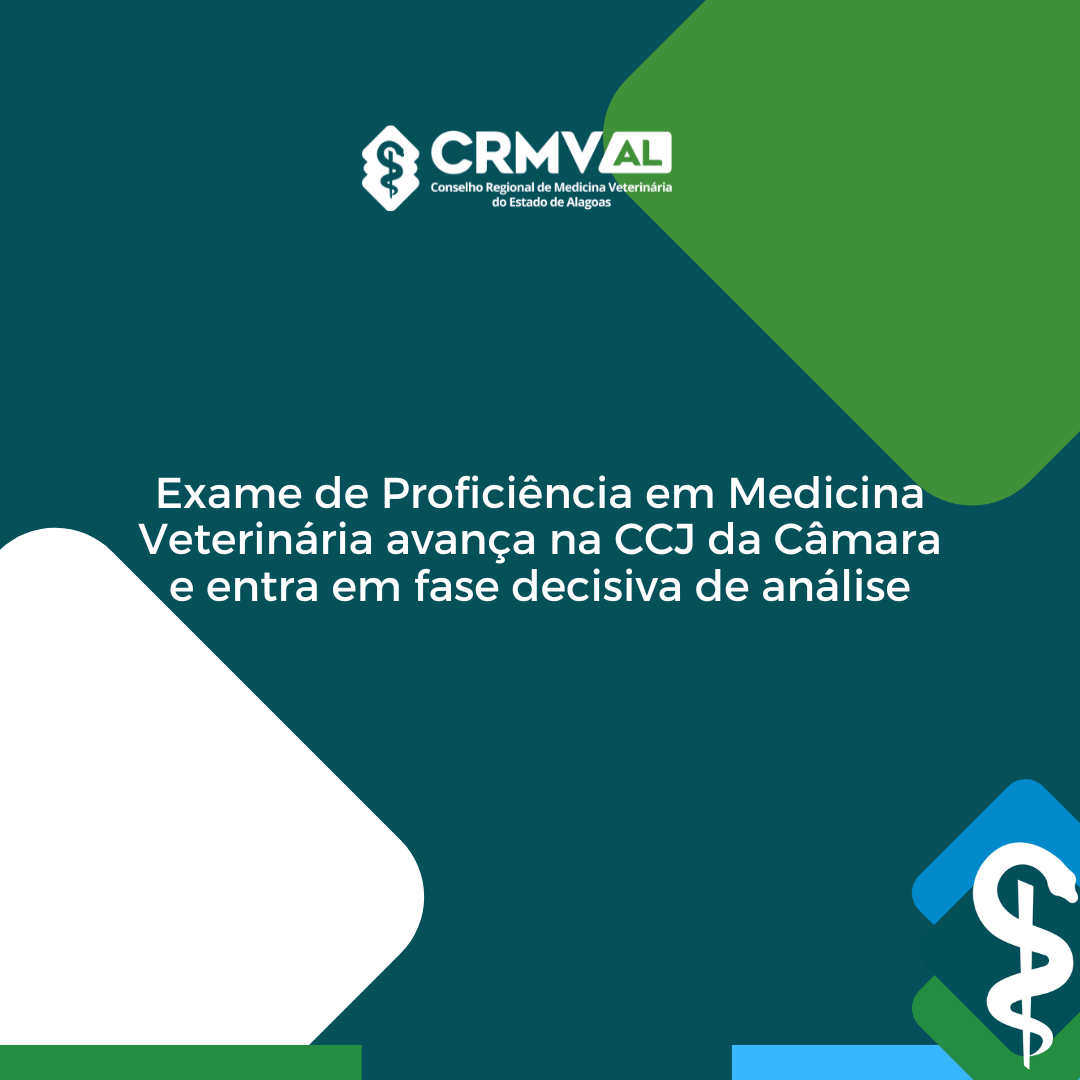 Inserir um pouquinho de texto (2)