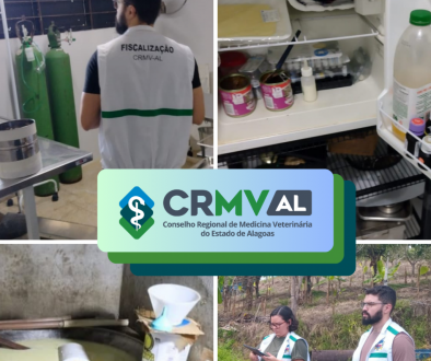 Inserir um pouquinho de texto (3)