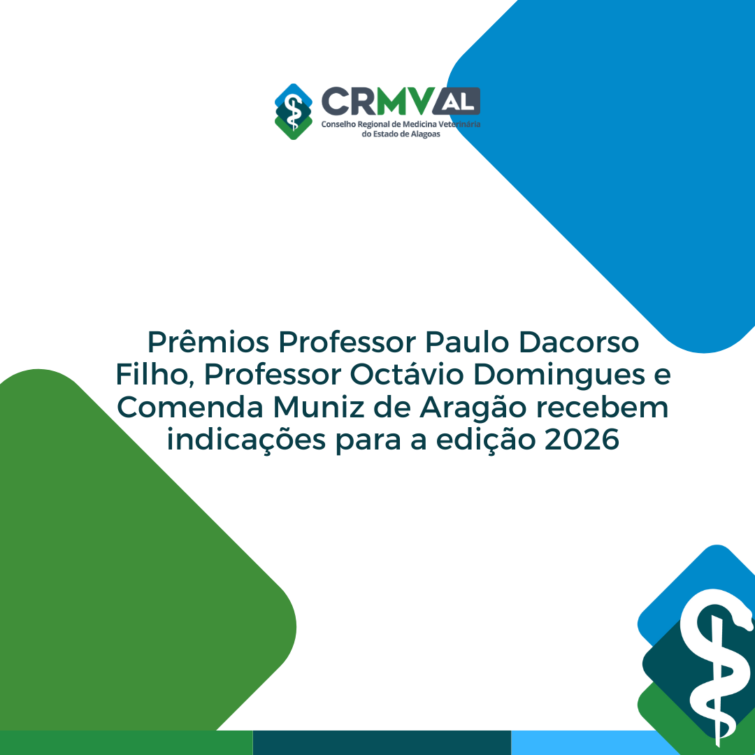 Inserir um pouquinho de texto (4)