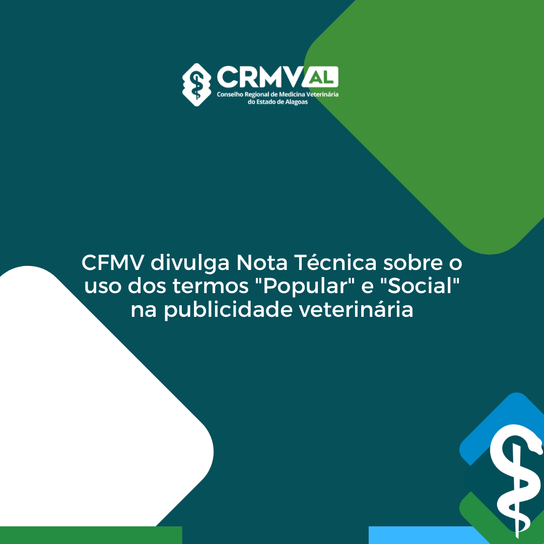 Inserir um pouquinho de texto