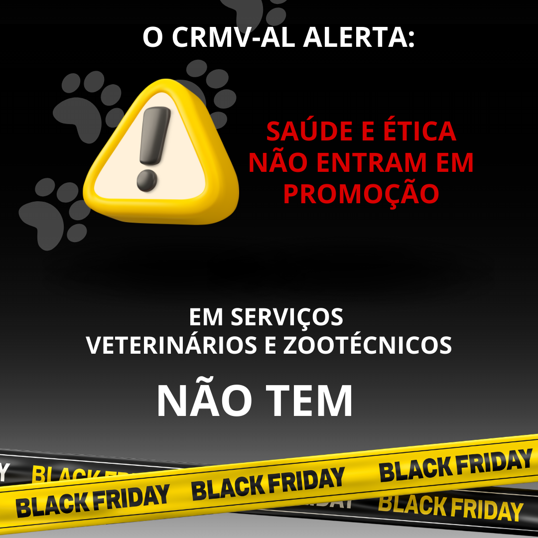 Inserir um pouquinho de texto