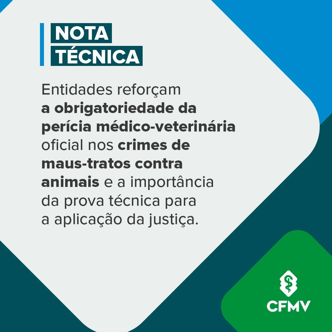 WhatsApp Image 2026-02-06 at 10.51.50