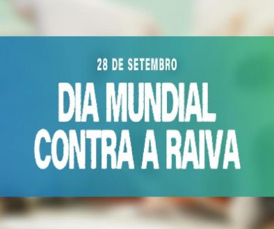 Combate a Raiva Sistema-Cover.jpg